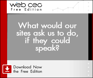 Web CEO free Search engine marketing tool