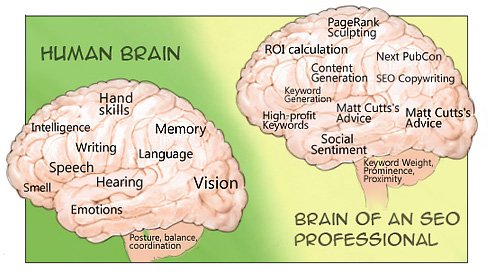 Brains of a SEO Expert - cartoon by Web CEO