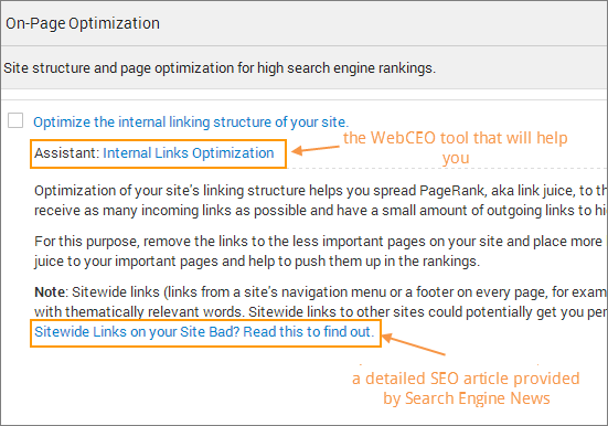 webceo-diy-seo