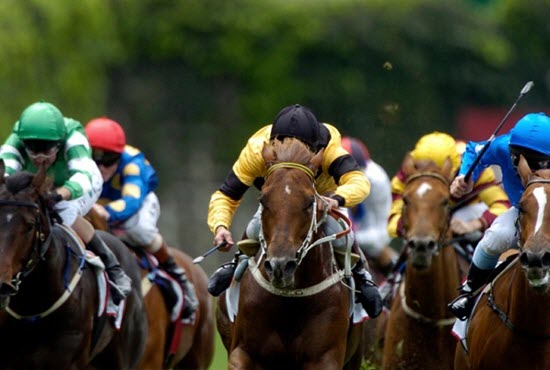 RacingWinners