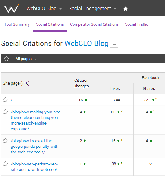 Web CEO Social Citation report