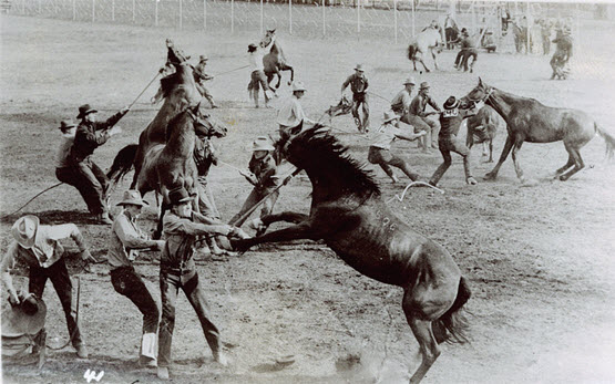 mobile-seo-apocalypse-horses