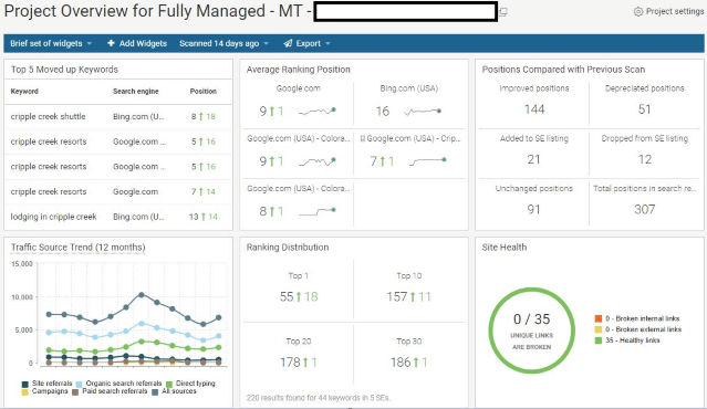 SEO management: overviewing your project.