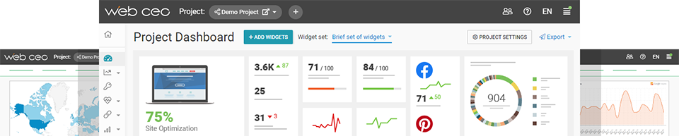 WebCEO dashboard