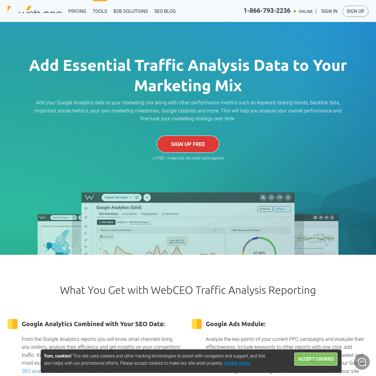 Traffic Analysis: All Visitor Traffic Data in One Place